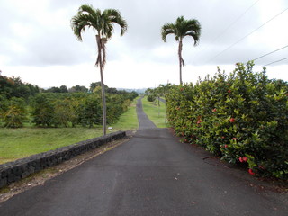 Obraz premium コナ