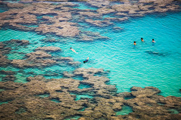Swimming and Snorkelling among coral reef in Hanauma Bay, Oahu, Hawaii. A popular tourist destination in an extinct volcanic crater.