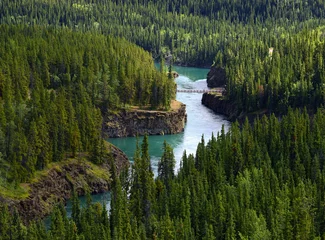 Fotobehang Yukon rivier in de buurt van Whitehorse - Miles Canyon, Yukon, Yukon Territory, Canada © Pecold
