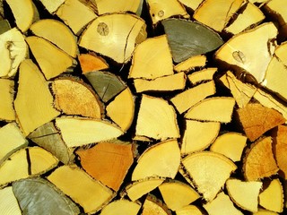 Holz