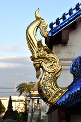 Fototapeta na wymiar golden dragon statue in bangkok thailand