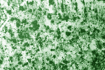 Part of old ceramic plate close-up in green tone.