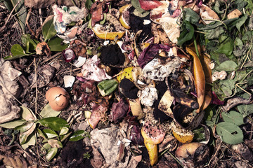 top view of organic waste dark effect, bio-waste with pieces of eggs, onions and others fruits in decomposition.