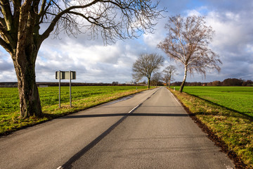 Fototapeta na wymiar Germany: Panorama view of empty road with leafless trees, traffic sign, white median median strip, green fields and sunny blue cloudy sky in the background - concept street transport travel traffic