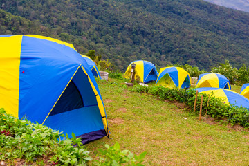many tent is in camping zone