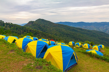 many tent is in camping zone