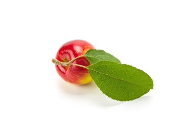 Red Apple with green leaf.