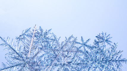 Beautiful snow flake on a light blue background close up