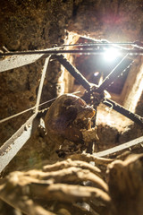 Castillo de Niebla Huelva Andalucía terror muerte almenas cañones castigos bodegón palomas