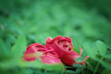 Sapatos de beb&ecirc;