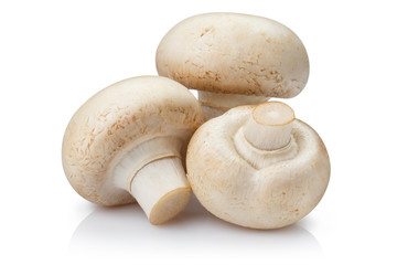 Fresh champignon mushrooms, isolated on white background