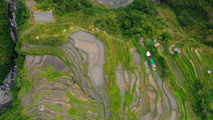 rice terraces in aerial view, Philippines