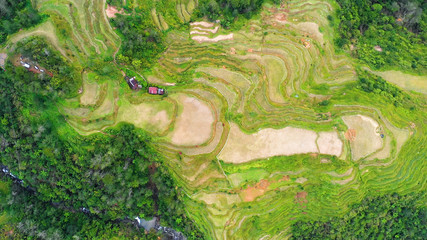 rice terraces in aerial view, Philippines