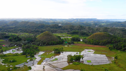 chocolate hill in aerial view, Bohol Philippines