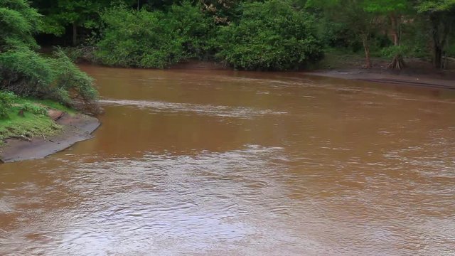 River in Kenya Low stream  river in Kenya