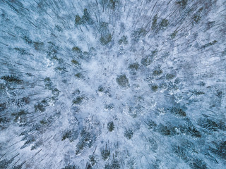 Background texture of a frozen forest at winter, aerial shot