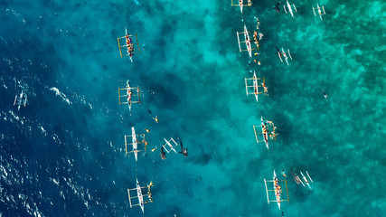 whale shark with boat in aerial view, snorkeling, Philippines © Fly_and_Dive