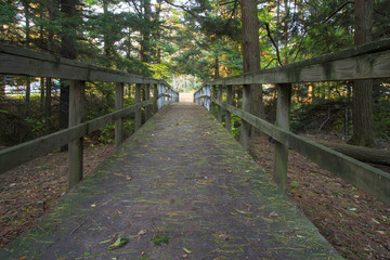 Fototapeta na wymiar The Way Forward. Wooden bridge through a dark Michigan forest. Horizontal orientation with copy space in foreground.
