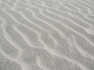 Fototapeta na wymiar 砂浜にできた砂紋 千葉県 九十九里浜