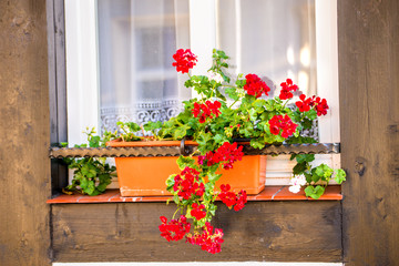 Fototapeta na wymiar Window with pretty flower arrangement