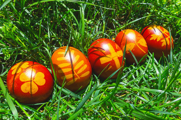 Fototapeta na wymiar uova di Pasqua colorate sul prato verde banner bello