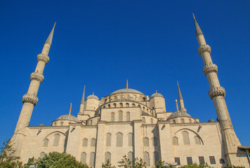 Fototapeta na wymiar Rear view of Blue mosque in Istanbul, Turkey