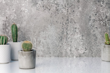 A stone empty wall with space for text. White shelf with cactuses in concrete DIY pots. Home decoration. Copy space