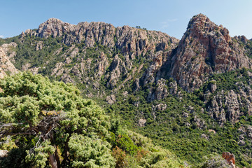 Wąwóz Spelonca, Korsyka