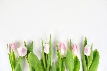 Pink tulips greetings card