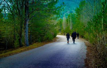 Back view of a couple walk on peaceful road/pathway along the Lake Eymir, Odtu, Ankara