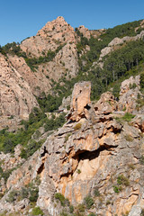 Formacje skalna w parku krajobrazowym Calanques di Piana na Korsyce