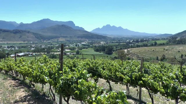 Cape Winelands - Franschhoek Valley