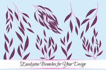 Fototapeta na wymiar Eucalyptus Vector. Decorative Vector Leaves and Branches. Elegant Foliage. Beautiful Floral Element for Wedding Design. Tropical Plants. Flowers Isolated and Eucalyptus Vector for Card, Invitation.