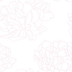  Pion flower vector texture illustration