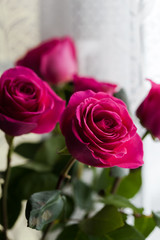 bouquet of roses, Valentines Day background 