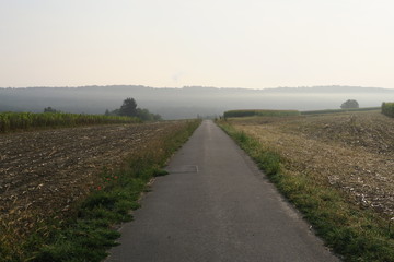 Fototapeta na wymiar Ein Feldweg in Steinenbronn (Kreis Böblingen) führt in den Morgennebel