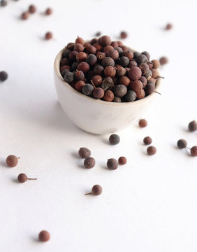 False Black Pepper