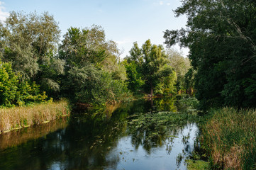 Safety life. Sunny day a calm river in summer. Beauty wild nature landscape. Ecology concept....
