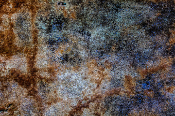 Close up of wall full of brown colored dried algae on it used as food also and for its medicinal properties.