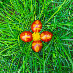 Pasqua uova di Pasqua sull'erba verde primavera banner