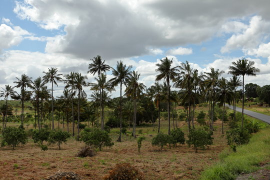 Natur und Landschaften in Tansania