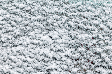 snow texture on car glass in winter day. close-up frozen car glass