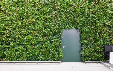 Modern interior design with indoor plants.