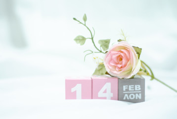 Fototapeta premium Pink square wood with white numbers 1 and 4.Gray square wood with white letters FEB.February 14 Valentine's Day