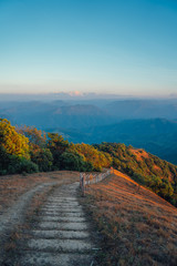 landscape walkway to Pui Kho mountain in Northern Thailand.