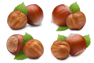 Set of hazelnuts with leaves, isolated on white background