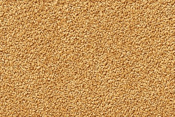 Wheat seeds and berries close up shot for texture or background