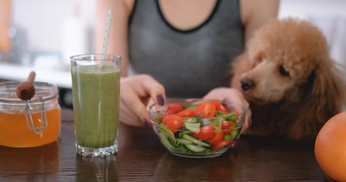 Young woman eating salad on the home kitchen after a workout. Young woman with her dog on the kitchen.