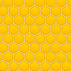 Honeycomb, vector isolated on white background