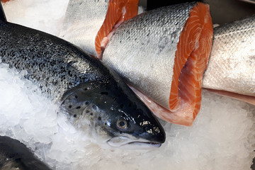 Fresh atlantic salmon on the supermarket counter © ruslan_khismatov